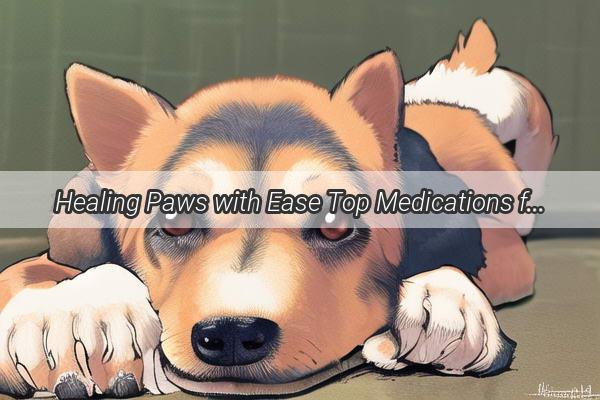 Healing Paws with Ease Top Medications for Dog Foot Wounds